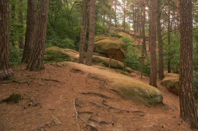 Skamieniałe miasto w Ciężkowicach