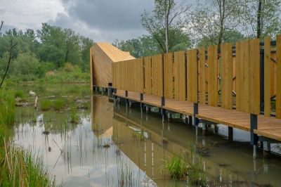 Szukasz idealnego miejsca na weekendowy spacer w sercu natury? Bobrowisko Stary Sącz to jedno z najbardziej fascynujących miejsc na mapie południowej Polski. Ta unikalna enklawa przyrodnicza bobrowisko w widłach dwóch rzek oferuje turystom możliwość obcowania z dziką przyrodą bez konieczności rezygnacji z komfortu.