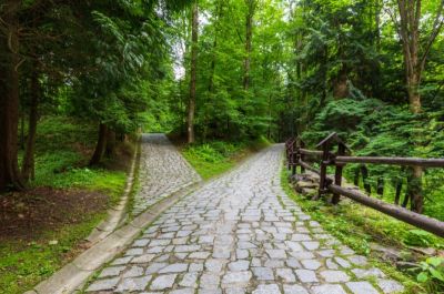 Góra Parkowa w Krynicy-Zdroju