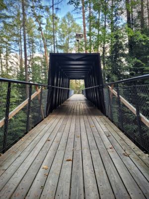 Leśne molo Stary Sącz