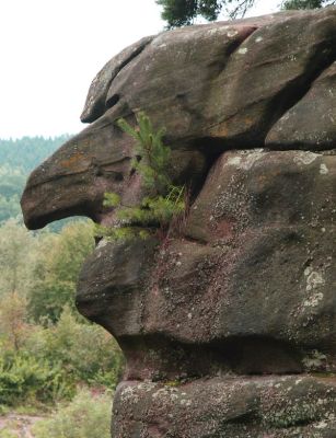Skamieniałe miasto w Ciężkowicach