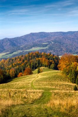 Szlak turystyczny w Beskidzie Sądeckim