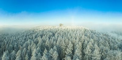 Widok na wieże widokową w Słotwinach